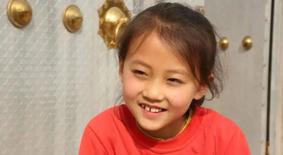 宁夏,揭秘宁夏，探寻神秘西夏之韵的魅力之旅